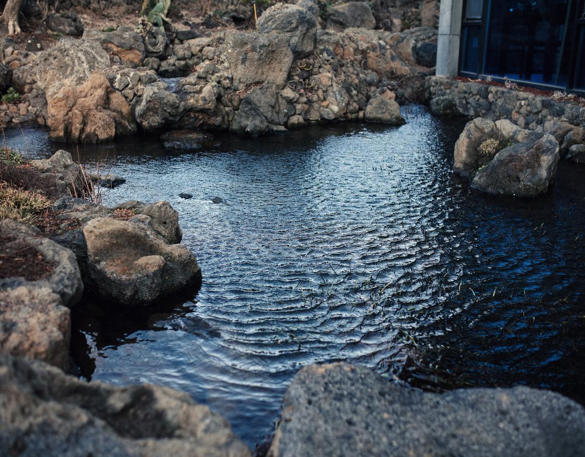 Jeju Feel Pension Exterior foto